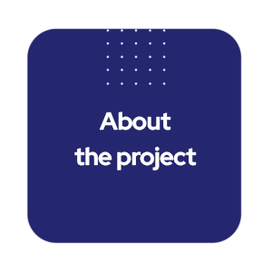 About the project